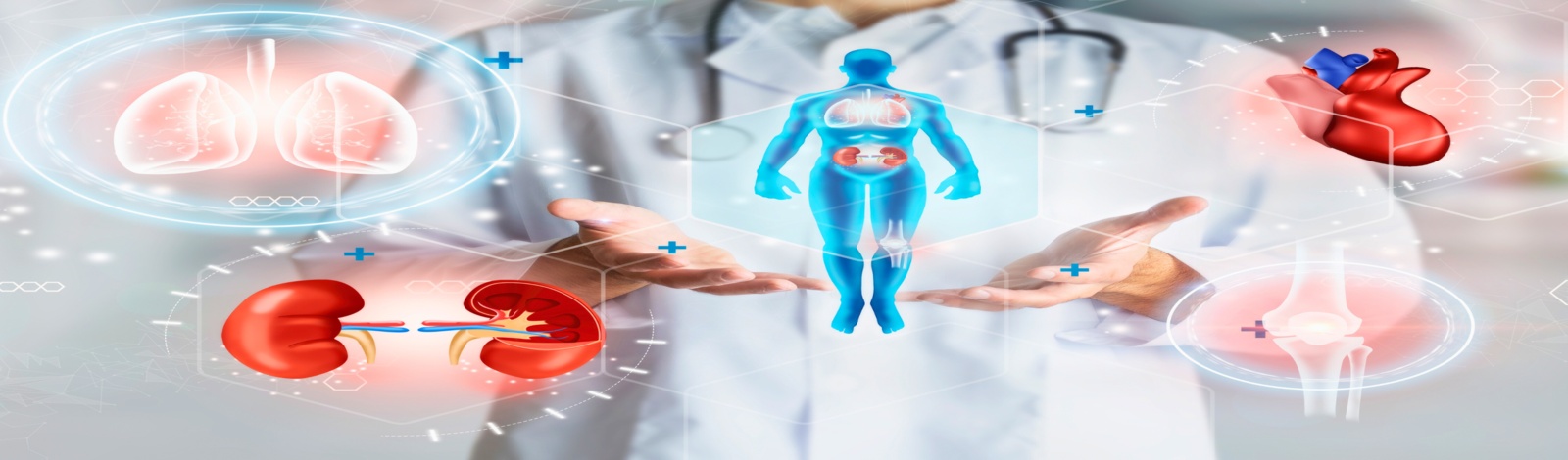 Curso de Extensão Fundamentos em Fisiologia