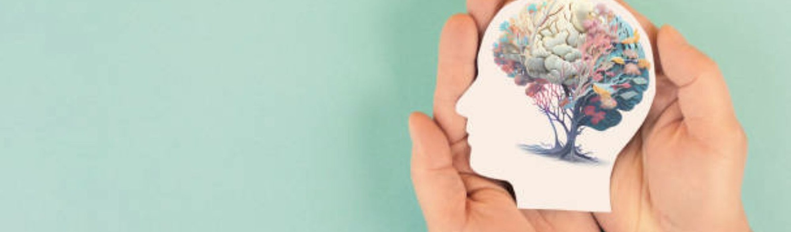 Curso de  Especialização/Aperfeiçoamento  em Saúde Mental - UECE