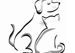 Curso de Especialização em Clinica Médica de Cães e Gatos