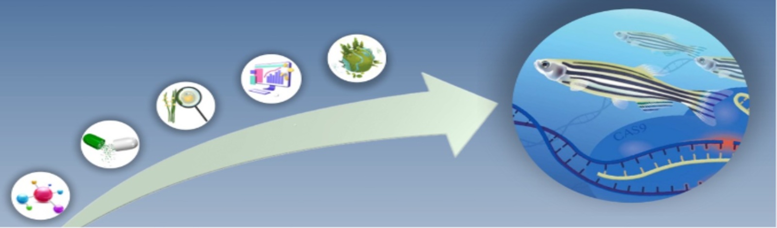I Simposio Cearense de Zebrafish na Ciencia - SIMZEBRA