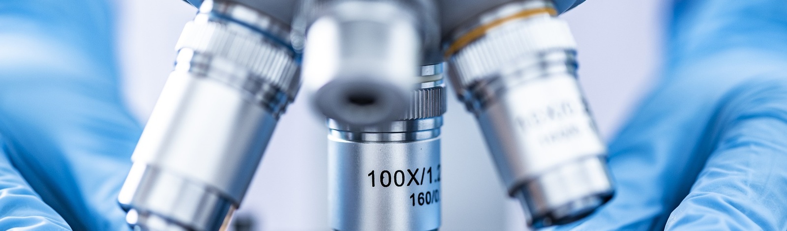 Programa de Pós-Graduação em Biotecnologia em Saúde Humana e Animal - Mestrado