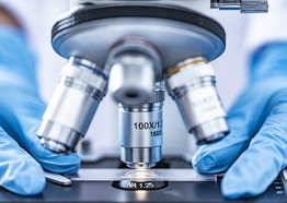 Programa de Pós-Graduação em Biotecnologia em Saúde Humana e Animal - Doutorado