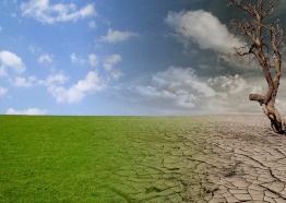 Mestrado Profissional em Climatologia