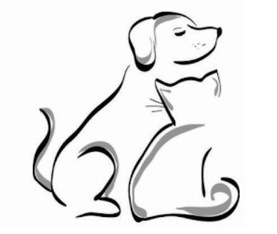 Curso de Especialização em Clinica Médica de Cães e Gatos