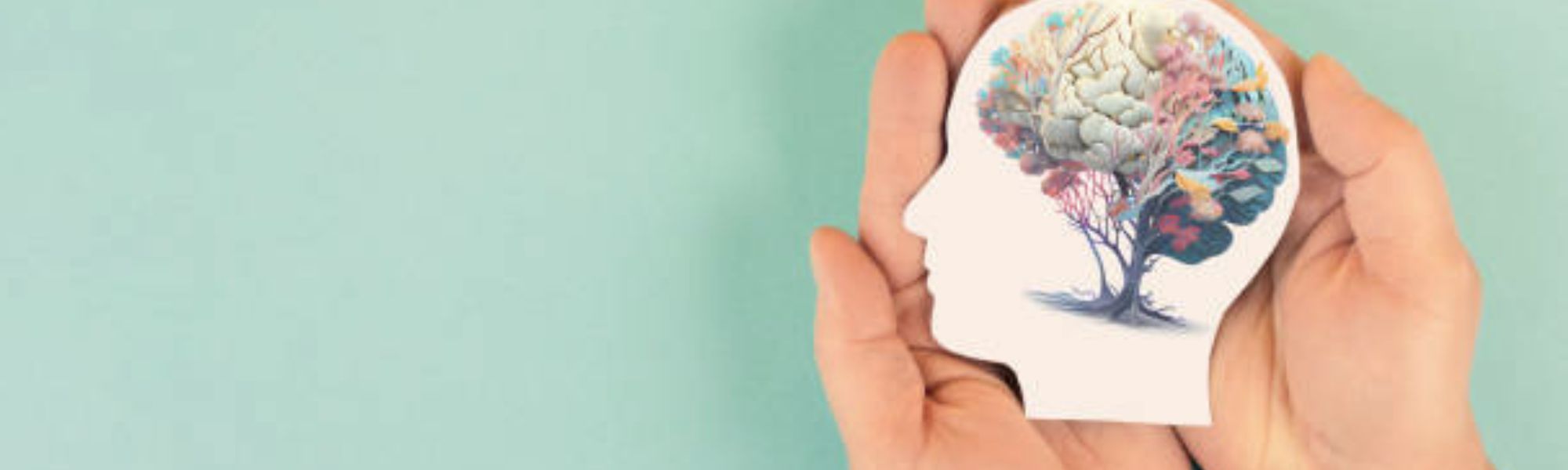 Curso de  Especialização/Aperfeiçoamento  em Saúde Mental - UECE