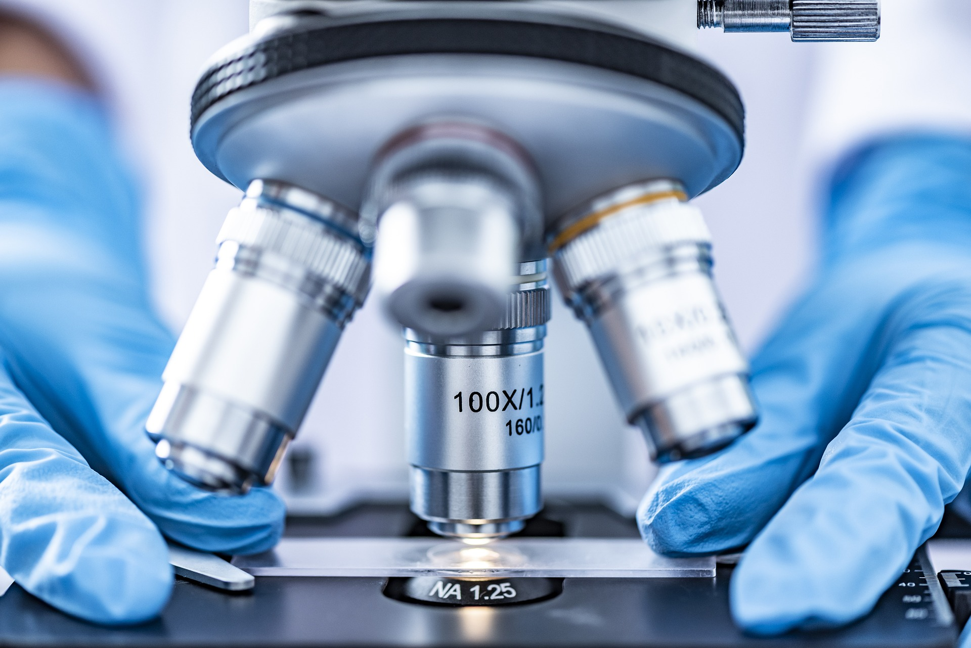 Programa de Pós-Graduação em Biotecnologia em Saúde Humana e Animal - Mestrado